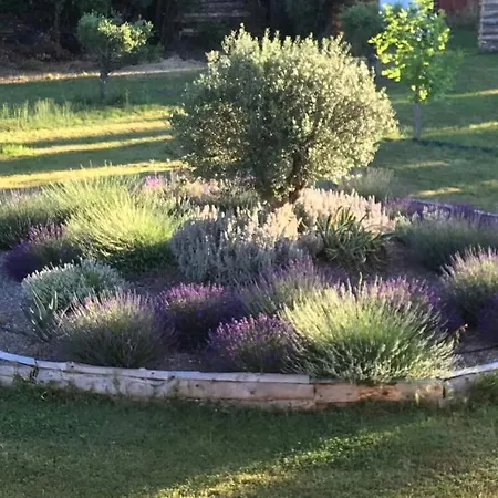 Villa Nimes Exceptionelle 3 Chambres Marguerittes