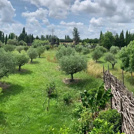 Villa Nimes Exceptionelle 3 Chambres