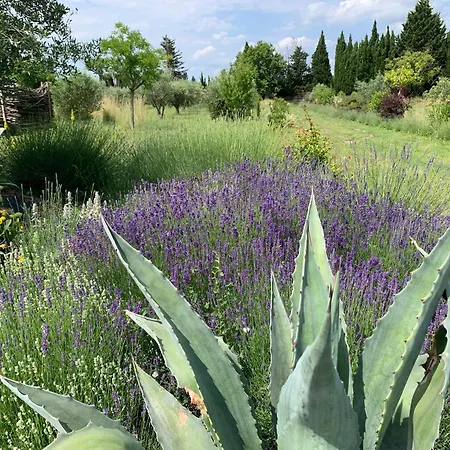 Nimes Exceptionelle 3 Villa Marguerittes
