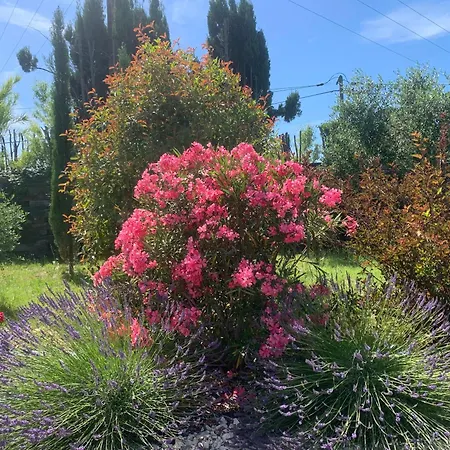 Villa Nimes Exceptionelle 3 *